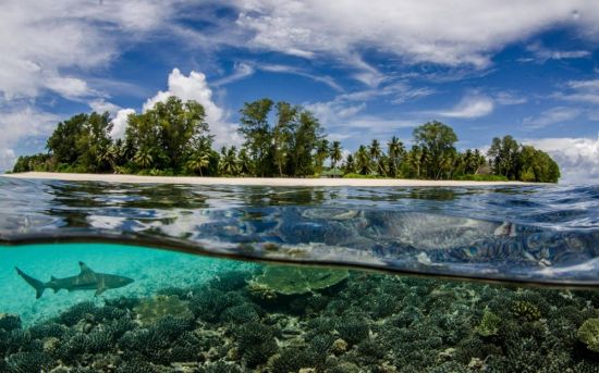 Остров Водный (63 фото)