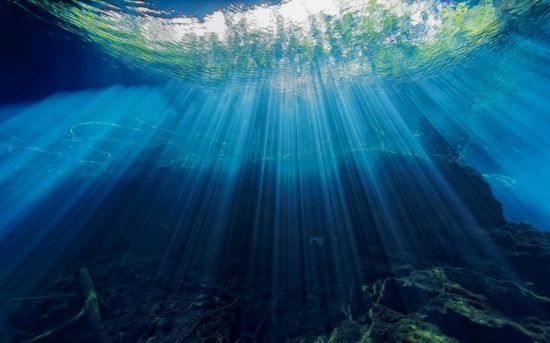 Океан глубина (58 фото)