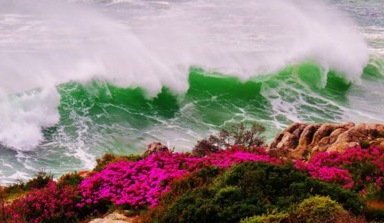 Цвет океана (59 фото)