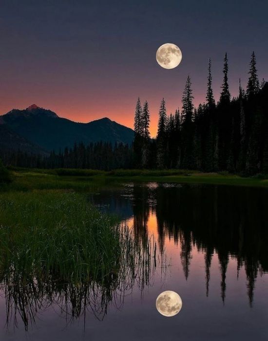 Луна над озером (58 фото)