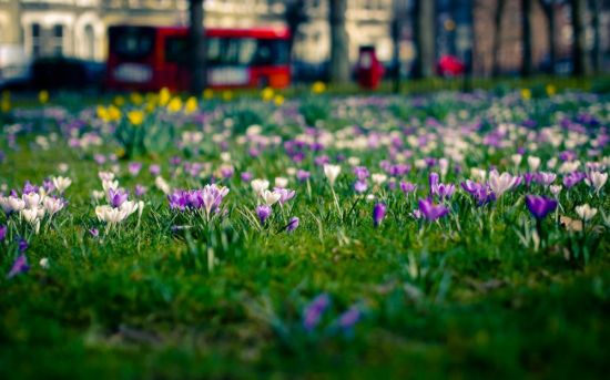 Весна на улице (57 фото)
