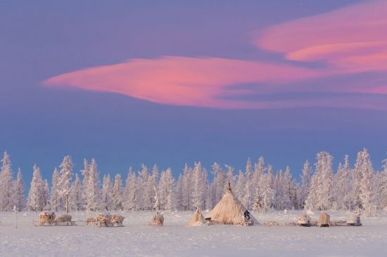 Зимняя тундра (58 фото)