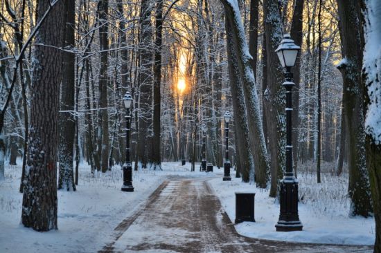 Парк Останкино зимой (57 фото)