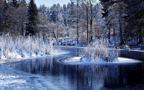 Лесное озеро зимой (59 фото)