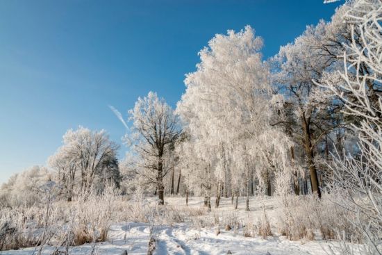 Подмосковье зимой (60 фото)
