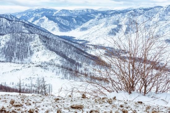 Перевал Чике Таман зимой (59 фото)