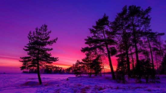 Пурпурный закат зимой (56 фото)