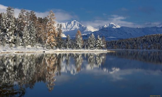 Алтай горы зима (56 фото)