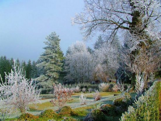 Английский сад зимой (54 фото)