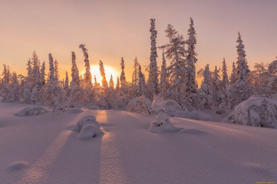Природа севера зима (60 фото)