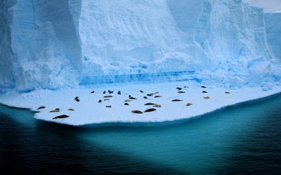 Озеро Восток в Антарктиде (56 фото)