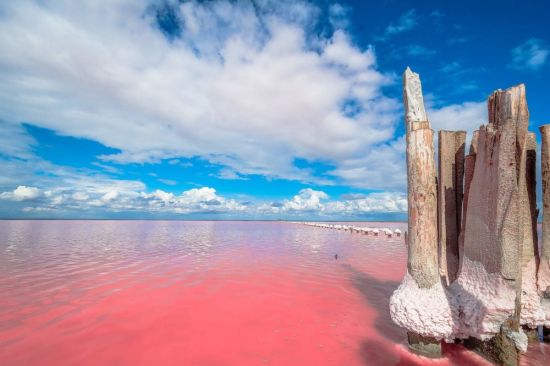 Розовое озеро Сасык Сиваш (58 фото)
