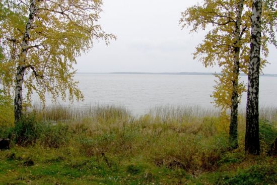 Озеро Сингуль Ялуторовский район (60 фото)