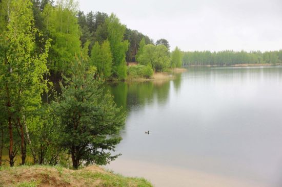 Озеро земснаряд Куровское (60 фото)