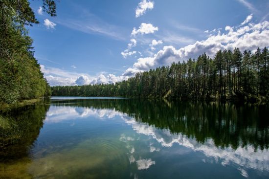 Озеро Зеленец Себежский район (59 фото)
