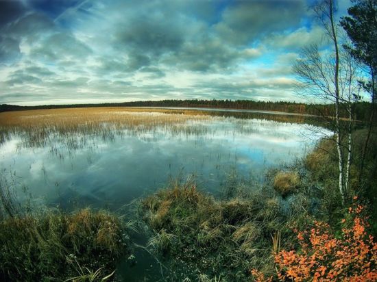 Калищенское озеро (58 фото)