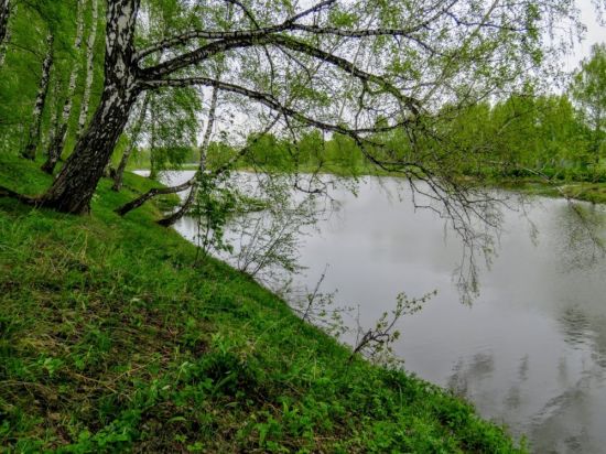Свиное озеро Дмитровский район (60 фото)