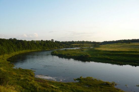 Река Шелонь (53 фото)