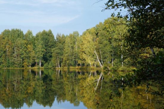 Озеро большое Всеволожск (58 фото)