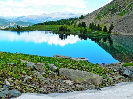 Манас озеро в Горном Алтае (60 фото)