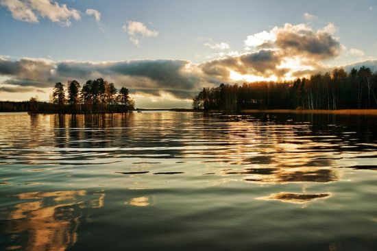 Озеро гусиное Приозерский район (60 фото)