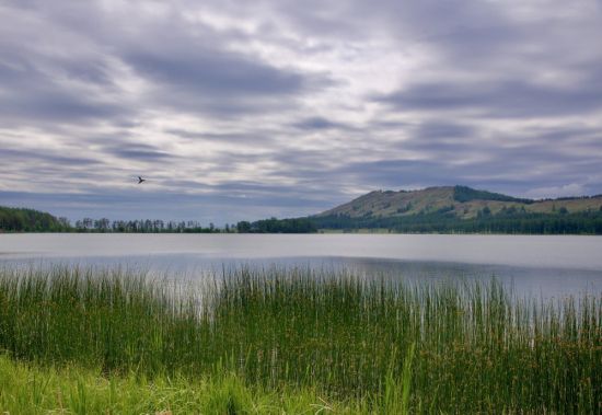 Белое озеро Башкортостан Гафурийский район (59 фото)