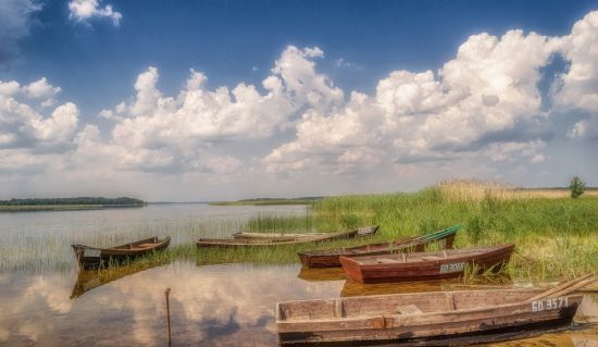 Браславские озера пляж (59 фото)