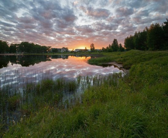 Черное озеро Вельск (59 фото)