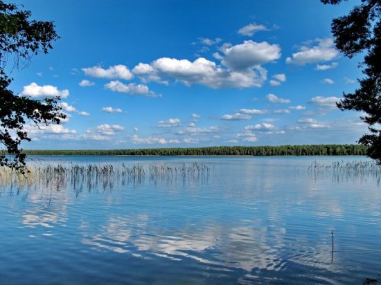 Нарочанские озера (58 фото)