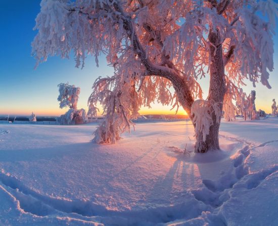 Русская природа зимой (58 фото)