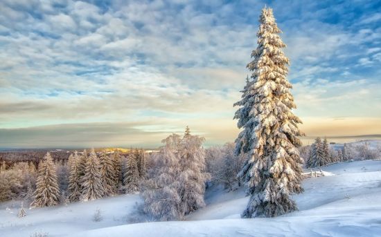 Зимние пейзажи России (59 фото)