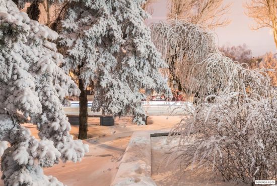 Донецк зимой (55 фото)