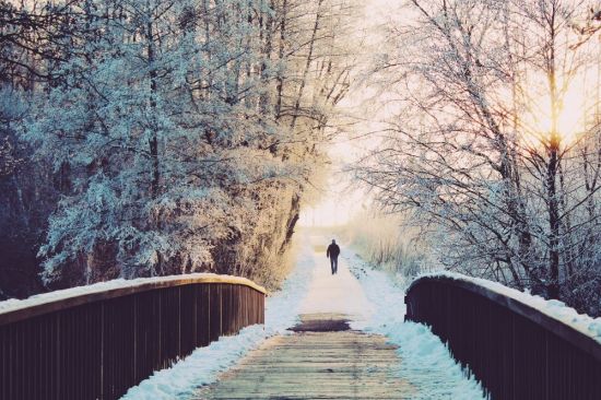 Зима одиночество (45 фото)