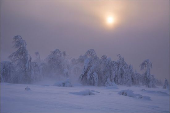 Зима Буран (53 фото)