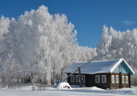 Природа зима деревня (57 фото)