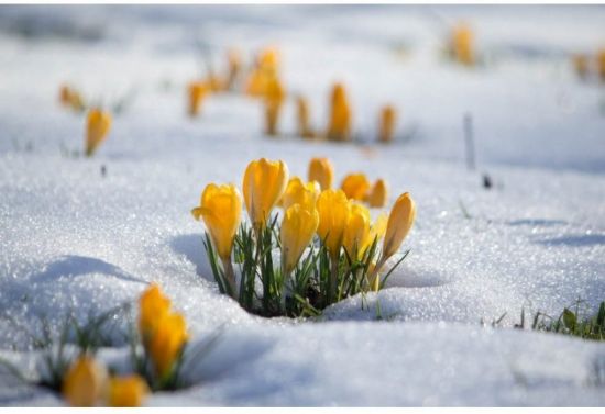 Конец зимы начало весны (58 фото)