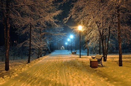 Зимний парк ночью (54 фото)