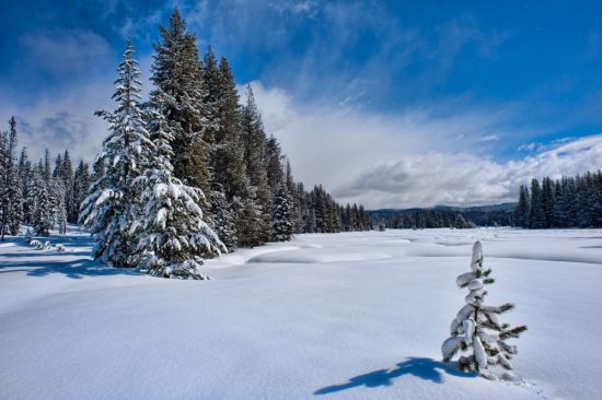Лесная Поляна зимой (53 фото)