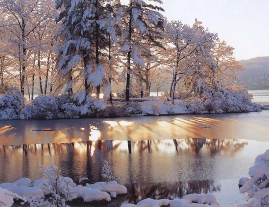 Зима природа декабрь (57 фото)