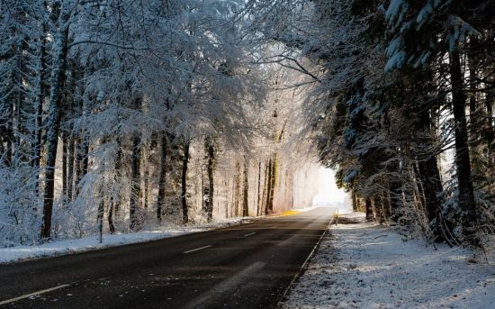 Зимняя Лесная дорога (56 фото)