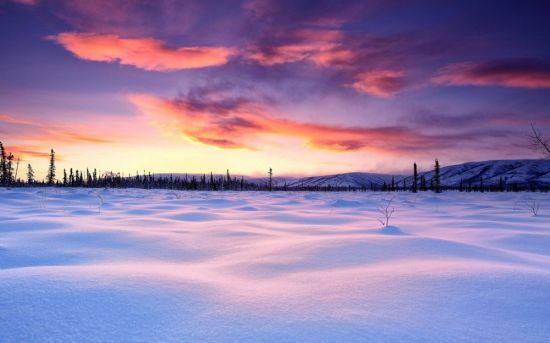Зимняя равнина (55 фото)