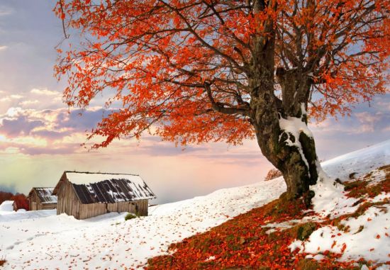 Осень зима природа (55 фото)