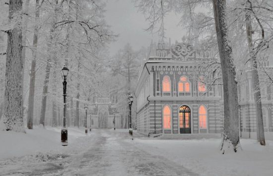 Усадьба Царицыно зимой (56 фото)