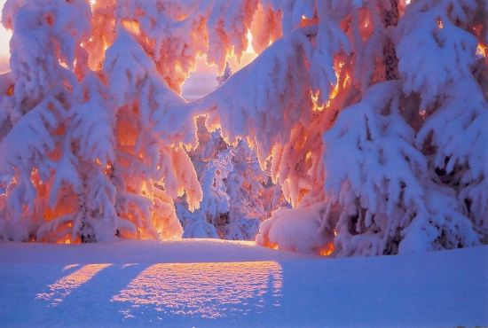 Зимний рай (56 фото)