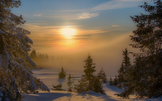 Восход солнца в зимнем лесу (53 фото)
