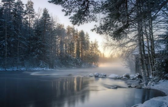 Лесная речка зимой (56 фото)