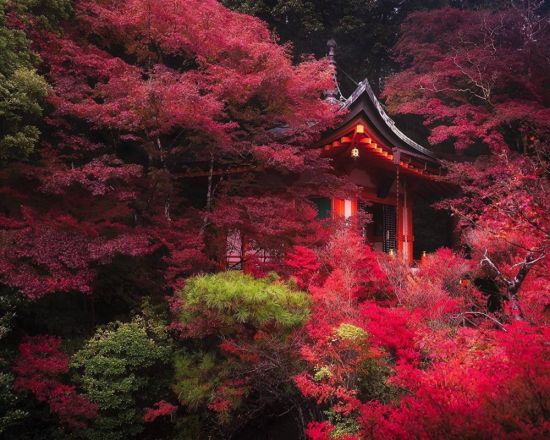 Природа Японии (58 фото)