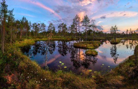 Природа Ленинградской области (58 фото)