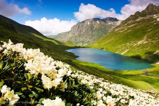 Природа Кавказа (59 фото)