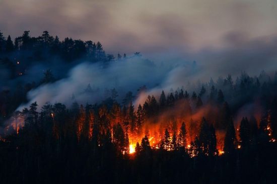 Природные пожары (59 фото)